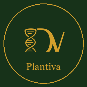 DV Plantiva